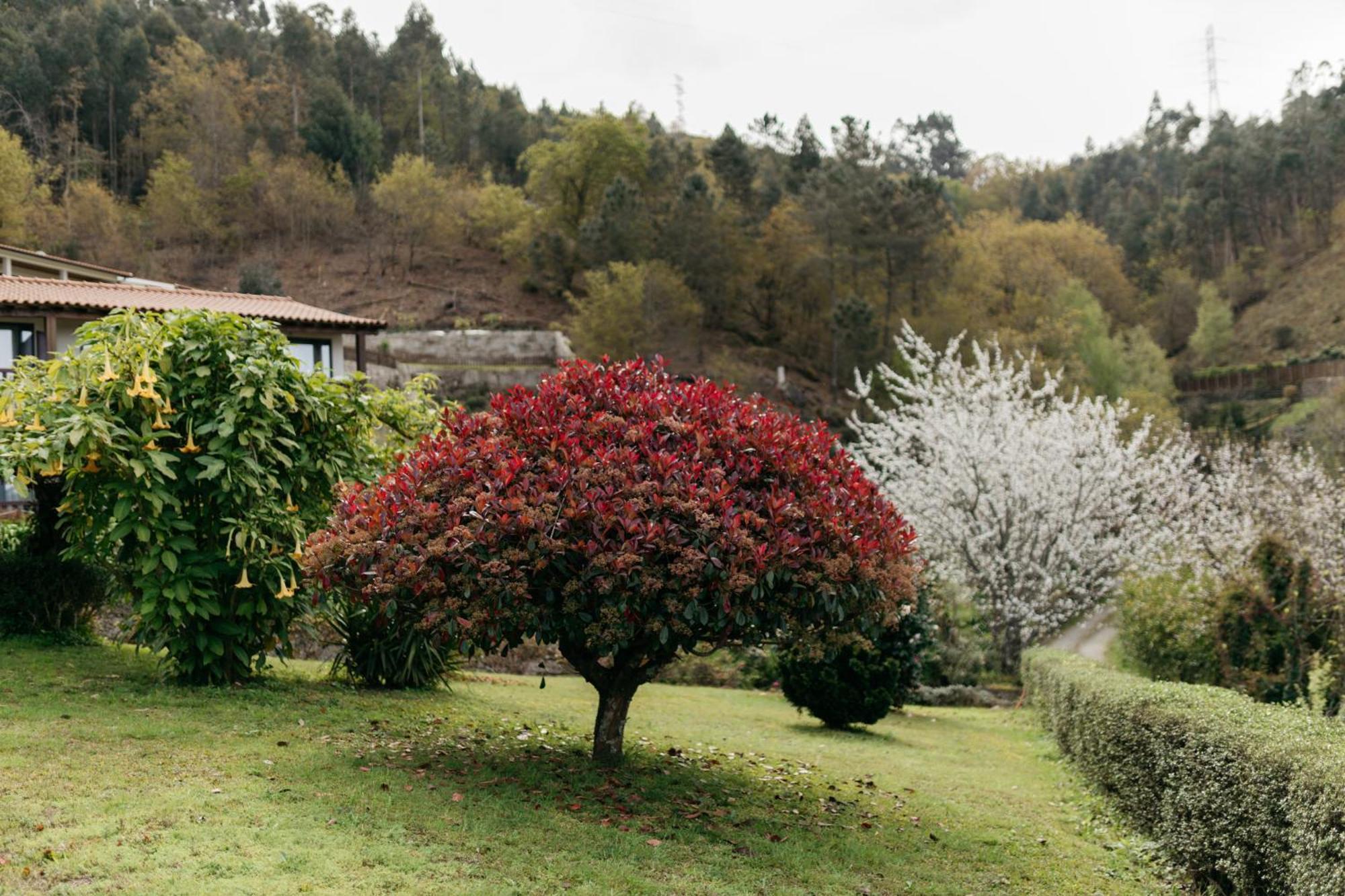 فندق فييرا دو مينهوفي  Quinta Do Bento المظهر الخارجي الصورة