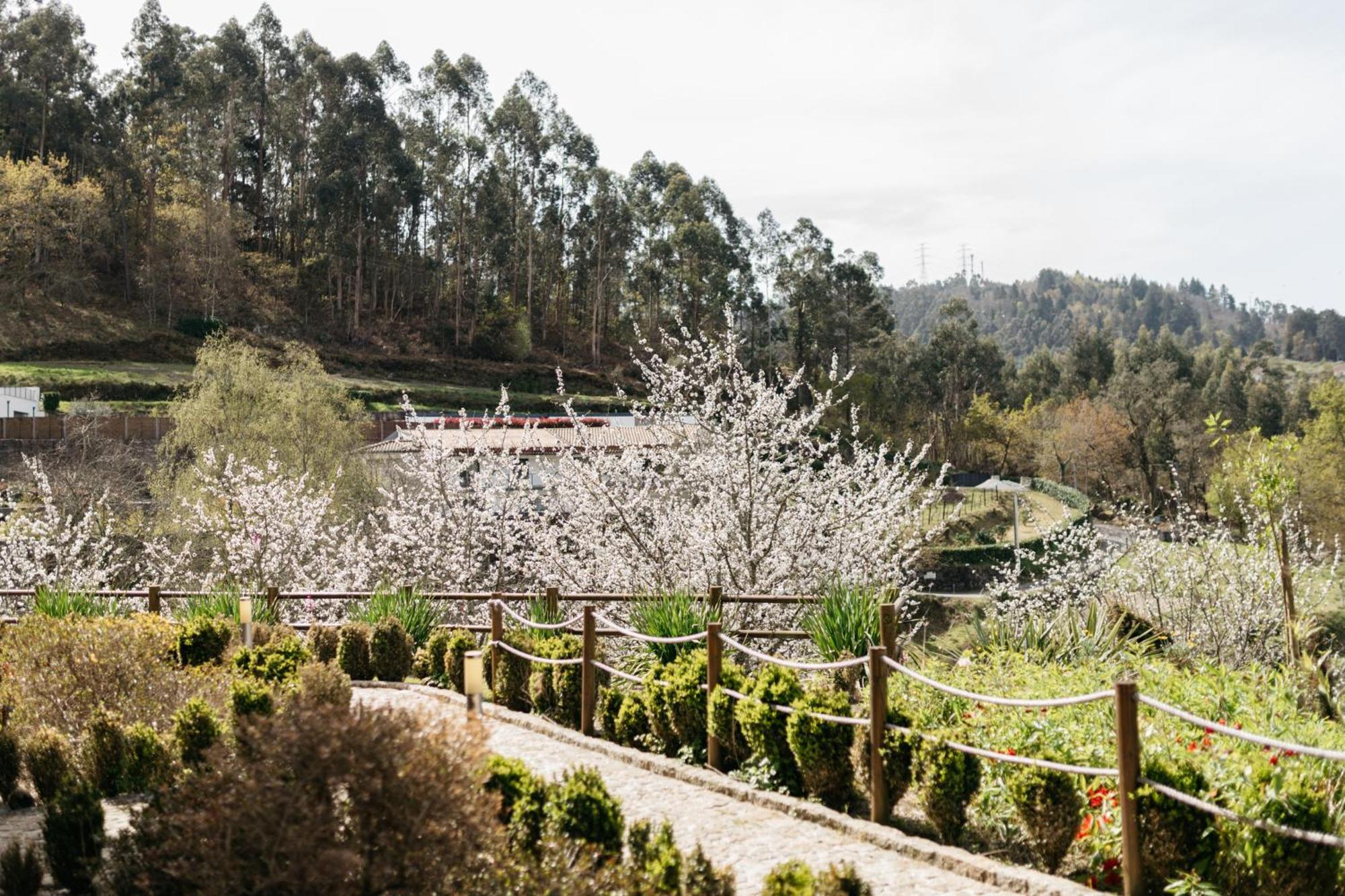 فندق فييرا دو مينهوفي  Quinta Do Bento المظهر الخارجي الصورة